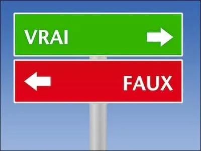 J'affirme que le mot  lente  est aussi un nom.