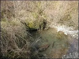 C'est un sous-affluent du Rhne par l'Ain et l'Oignin, il est divin et pourtant il copine avec la Sarsouille.