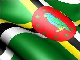 La croix au centre du drapeau de ------ est compose de trois couleurs (jaune, blanc, noir) qui reprsentent la -----. Quel est le nom de l'oiseau  l'intrieur du cercle rouge ?