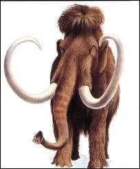 De quel animal actuel le mammouth est-il l'anc�tre ?