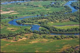 En Roumanie, le delta de ce grand fleuve comprenant une quinzaine de bras est inscrit au patrimoine mondial de l'Unesco. De quel fleuve s'agit-il ?