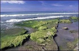 En Asie, la mer d'Aral est un lac sal. Quel est cet autre lac sal issu de la fermeture d'une mer ocanique ancienne ?