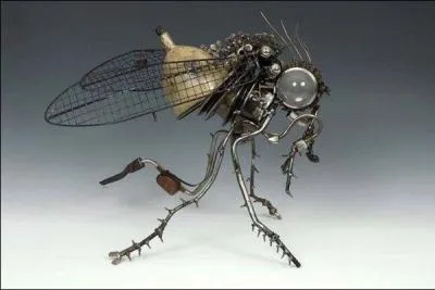 Le _______ tigre peut tuer !