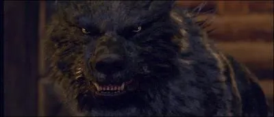 De quelle couleur est le loup ?