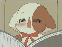 Comment s'appelle le chat de Kilari ?