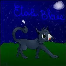 Alors tout d'abord, quel est le nom de chaton d'Étoile Bleue ?