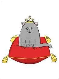  toile Bleue ! toile Bleue... Oui, a y est ! elle est chef !  . Parmi ces propositions, qui ne lui offre pas de vie ?