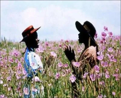 De quel film est tir�e cette photo ?