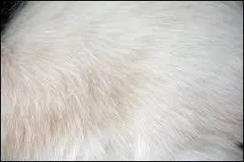 Agrment de quelle matire ?