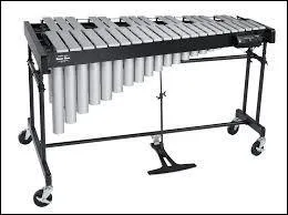 Quel est cet instrument de percussion ?