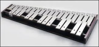Quel est cet instrument de percussion ?