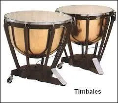 Quel est cet instrument de percussion ?