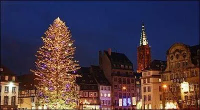 Dans quelle ville pouvons nous trouver ce sapin ?