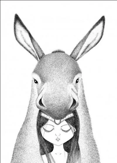 De quelle couleur est la deuxime robe de Peau d'ne ?