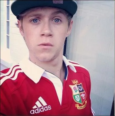 Quelle est la couleur prfre de Niall ?