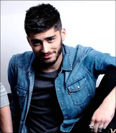Combien Zayn a-t-il de surs ?