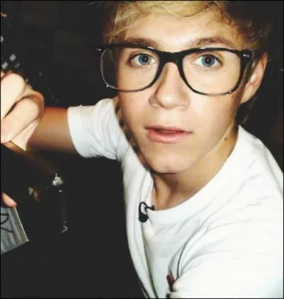 De quelle couleur sont les yeux de Niall ? Ils sont . .