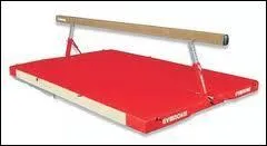 Quel est le prnom de la gymnaste dont le nom est Le Pennec ?