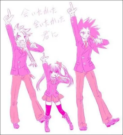 Quelle est la particularit des Chasseurs de Dragons ? [mis  part Wendy, la chasseuse de Dragon Cleste qui est une exception]