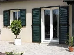 Veau  liquide blanc, doux, produit par les femelles de certaines espces de mammifres   :