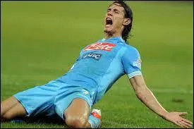 Il forme un duo d'enfer avec Ibra au PSG cette saison. Mais dans quel club a-t-il commenc sa carrire de joueur pro ?