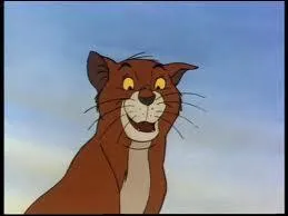 Comment s'appelle le chat de gouttire que rencontrent les chatons et leur mre ?