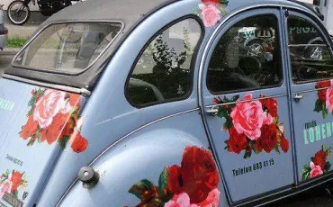 Quiz 2cv