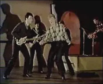  Les pirates  furent un groupe des annes 60. Que faisaient-ils ?