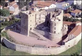 Nous survolons la ville rhnalpine de Montrond-les-Bains. Cette ville de l'arrondissement de Montbrison se situe dans le dpartement n ...
