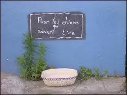 Je suis combl de bonheur en voyant ce panneau ! Quelle est la dfinition du mot  comble  ?