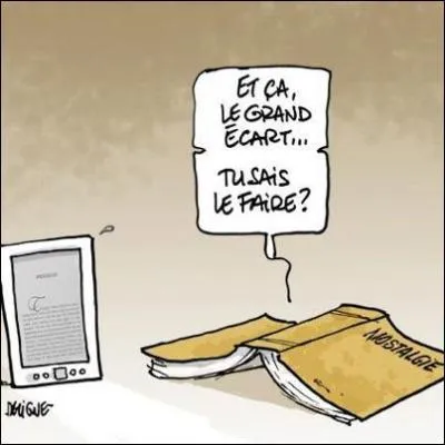 Je suis en extase devant cette image ! Quelle est la signification de  extase  ?