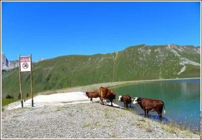 Quelle hideur ! Le mot  hideur  signifie  laideur monstrueuse  :