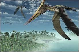 Comment les dinosaures volants chassaient-ils ?