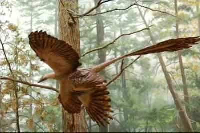 Que veut dire Microraptor ?