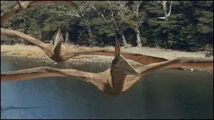Quel est le plus grand dinosaure volant ?