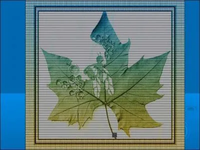 Une ---- contemple l'horizon dans le frmissement clin des ptales de fleurs.