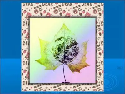 Un merveilleux jardin japonais empli de posie et de srnit. Que remarquons-nous en haut  droite ?