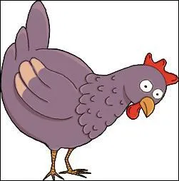 Je vis dans un poulailler, je suis :