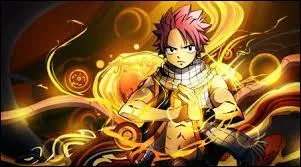 Quel est le pouvoir de Natsu, de Fairy Tail ?