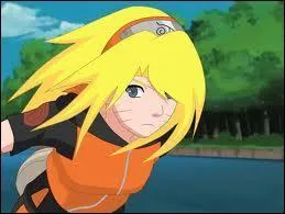 Dans  Naruto Akkipuden , Naruto aura une fille avec Sakura. Comment s'appellera-t-elle ?