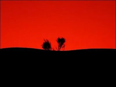 Jean Christophe Ruffin a eu le prix Goncourt en 2001 pour son livre dont le titre est ...