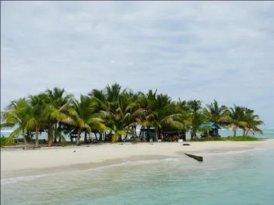 Que je sois en Basse-Terre ou en Grande-Terre :  Jwaeu Nouel !  ... ... Sur quelle le suis-je ?