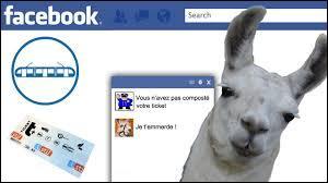 Lequel de ces deux Youtubeurs a diffusé la vidéo  Serge le lama, sa vraie histoire sur Facebook  ?