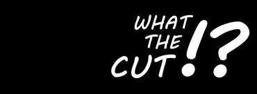 C'est MrAntoineDaniel qui diffuse les vidos  What the cut .