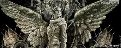 Le nombre de districts est