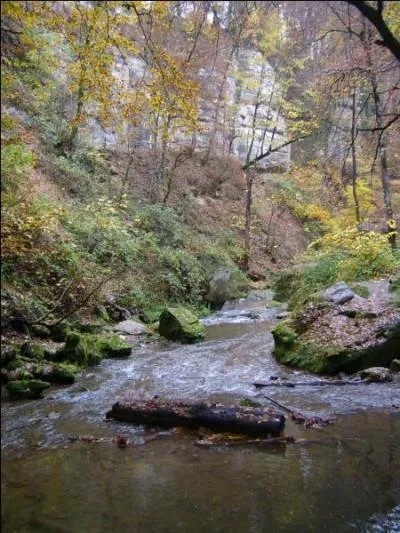  Petite Suisse  d'un petit pays d'Europe. Paysage vallonn et verdoyant, c'est le Mullerthal. Dans quel pays se trouve cette valle ?