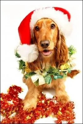 Un Pre Nol affectueux :