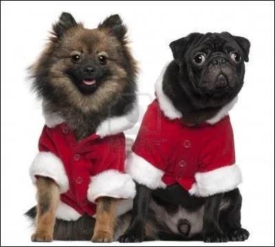 De gauche  droite, qui sont-ils ?