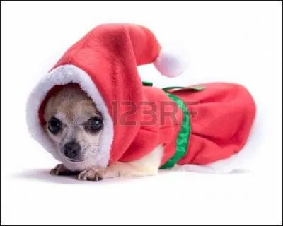 Quel est celui-ci sous sa tenue de camouflage ?