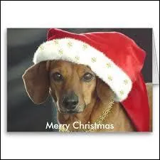 Bien dguis, le reconnatrez-vous ?